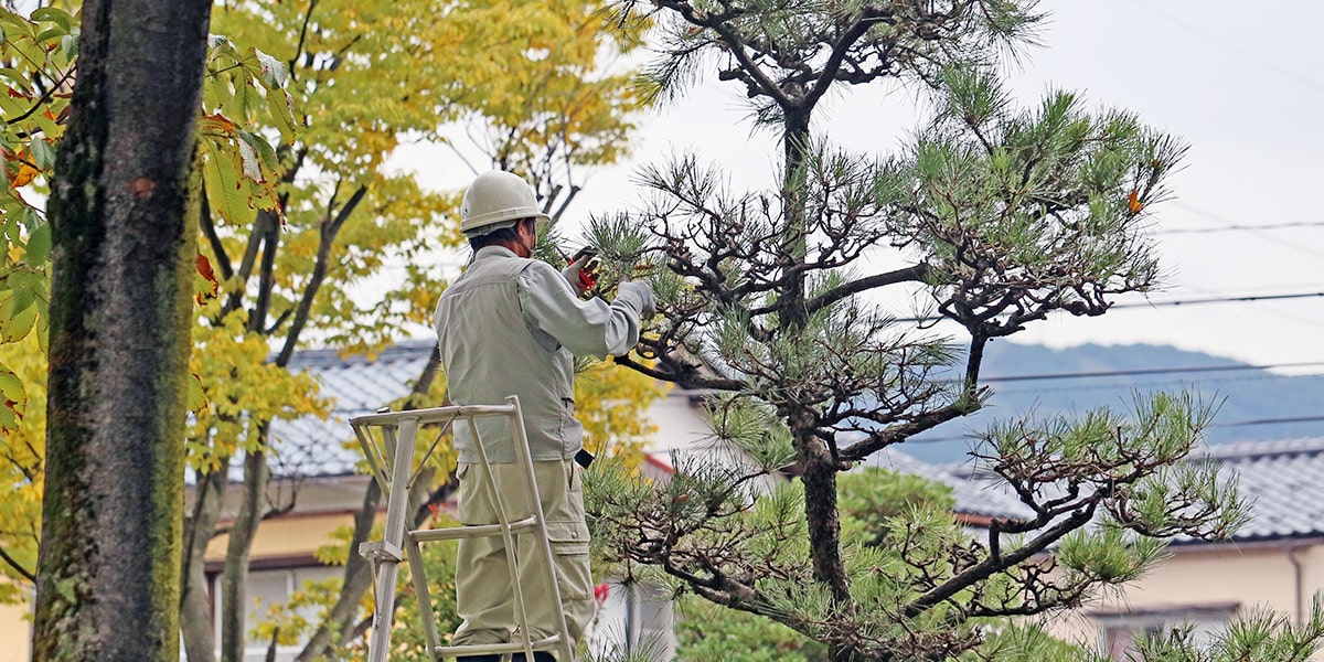 私たちについて