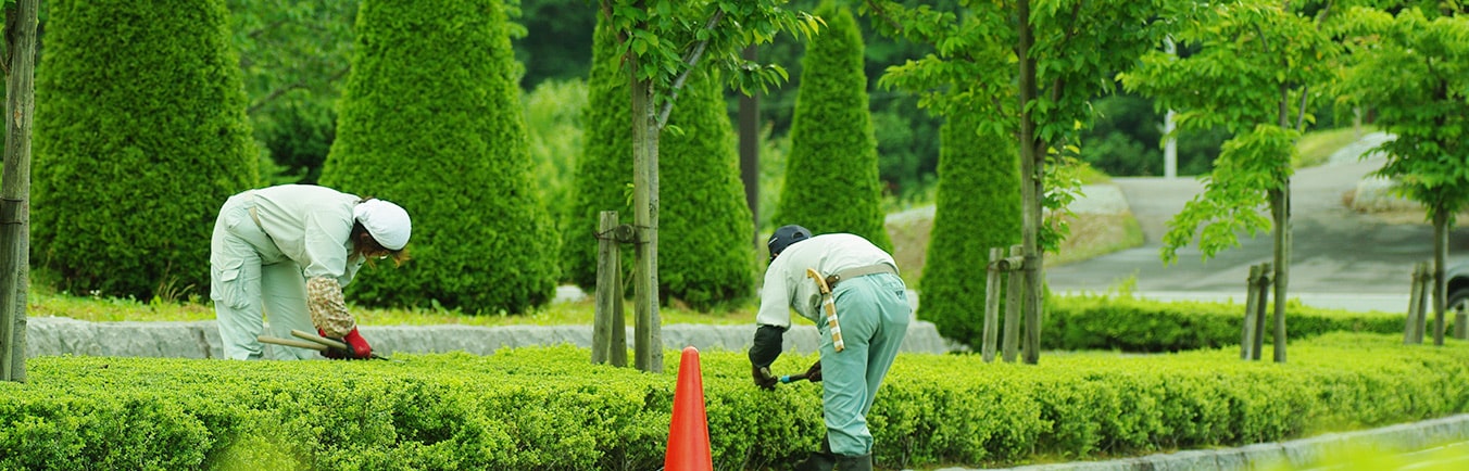 直井造園で働く。